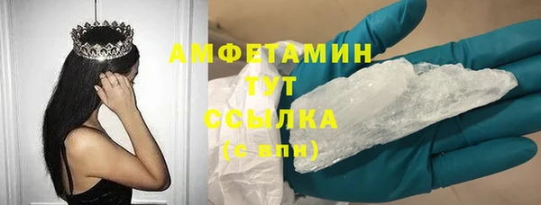 мяу мяу мука Тайга